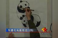 晴和轩珍藏VCD：徐贤佩大师亲授国画熊猫画法