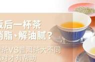 茶的品鉴：品味绿茶和普洱茶的独特韵味