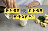 新手和高手喝茶，到底有何不一样？