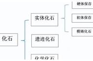 我找到了化石，但这只是一种猜测