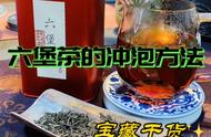 六堡茶：如何冲泡出口感最佳？专业技巧分享