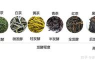 茶叶种类详解：从绿茶到红茶，一文读懂