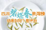 四川碧螺春：我现在的评价和感受