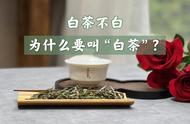 白茶