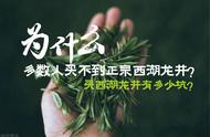 为何大多数人都难以购得正宗的西湖龙井茶？西龙茶是否已经达到了绿茶的最高品质？