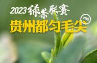 贵天下千元级都匀毛尖：2023绿茶联赛的新亮点