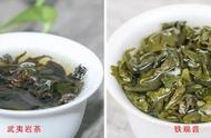 大红袍与铁观音：乌龙茶中两大名品的韵味对比