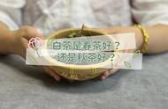 春水秋香：买白茶时的真实情况是什么？