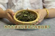 喝茶十几年，我发现白茶有三大好处，都是真实有效的