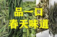 明前春茶，让你在每一口中都感受到春天的气息：10款名优绿茶推荐