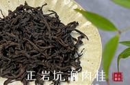 黄观音、金牡丹、黄玫瑰这些武夷岩茶的高香品种是否容易泡？