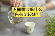 春夏秋冬，白茶的饮用建议与选择