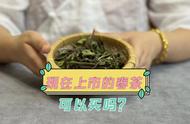 春茶销售时间的差异性：为何有的3月份就开卖了，有的5月份才上市？