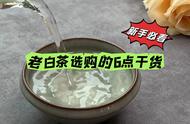 老白茶不是越黑越好：记住这6点干货，让你买到的都是好茶