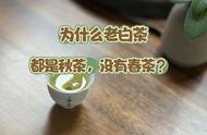 老白茶市场：九家店都在售卖秋茶，那么春白茶是否适合长期保存？