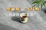 大红袍与红茶的对比：你真的懂这两种茶的区别吗？