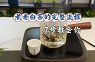 老白茶烹饪全解：7个步骤，新手也能轻松入门