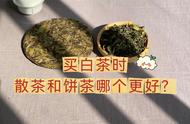 白茶购买攻略：新手如何避开散茶和饼茶的选择困扰？