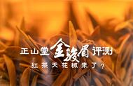 红茶的天花板：正山堂2022金骏眉红茶的万元一斤挑战