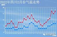 雅安甘露堂茶业：两款卷曲性茶叶的深度解析与鉴赏