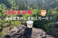 金骏眉的秘密揭示：红茶中的天花板，为何能卖到上万一斤？