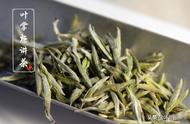 白毫银针：茶的种类、保存方法和冲泡技巧详解