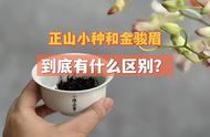 正山小种和金骏眉，哪个更能引领红茶的潮流？