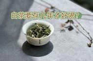 白茶新茶的味道太青，老茶客更倾向于选择储存5年的茶叶