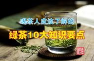 绿茶专家解读：理解绿茶的10个关键知识点