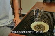 品味贵州毛峰茶，感受茶香四溢的美好时光