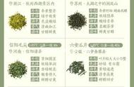 48种名优绿茶品种大全：茶友们的收藏对比宝典