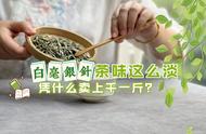 白毫银针的味道淡，为何能卖出千元的价格？揭秘白茶价格的四大支撑因素