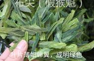 猴魁茶风头正劲，真假猴魁鉴别攻略大公开