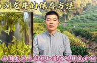 西湖龙井茶农，让您在忙碌中找到片刻宁静