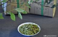 明天就是西湖龙井新茶的开采日，购买时有哪些需要关注的点？