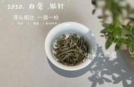 白茶白毫银针，早期饮用才是品味之道？茶界老饕的独到观点