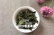 白茶新手的贴心指南：全方位知识助您挑出好茶