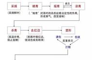 铁观音制作全攻略：一杯好茶的诞生之道