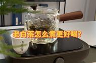 老白茶煮制全解析：茶水比例、烹饪技巧和时间一览无余