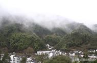 富溪高山茶园：黄山毛峰的故乡与美景