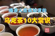 乌龙茶解码：喝茶人应该知道的10大秘密