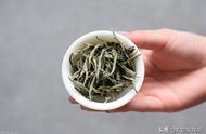 白茶与黑茶，你更倾向于选择哪一种？