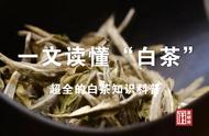 白茶入门指南：一篇文章带你了解白茶