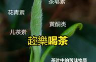 茉莉花茶价格大起底：十几二十元能买到吗？