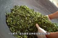 人生如茶：黄茶的韵味