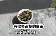 白茶的独特之处：叶片大、茶梗粗的白茶为何更甜？