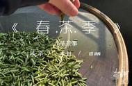 白茶收藏全攻略：散茶与饼茶，让你轻松做出选择！