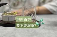 白茶饼冲泡实战：头道茶前润茶的经验分享