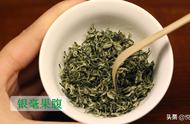 碧螺春第一泡茶：喝还是不喝？科学解答在这里