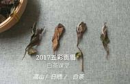 白茶压饼的文化内涵：好茶不压饼？品味茶道精神